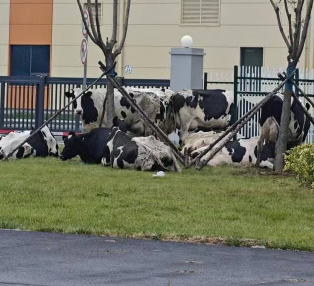 微信图片_2025-10-13_112910_007 微信图片_2025-10-13_112910_007