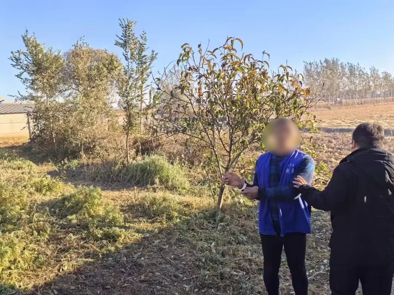 微信图片_2025-11-14_091527_828 微信图片_2025-11-14_091527_828