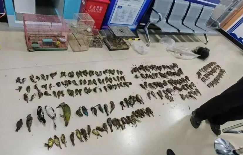 微信图片_2025-11-14_091532_929 微信图片_2025-11-14_091532_929