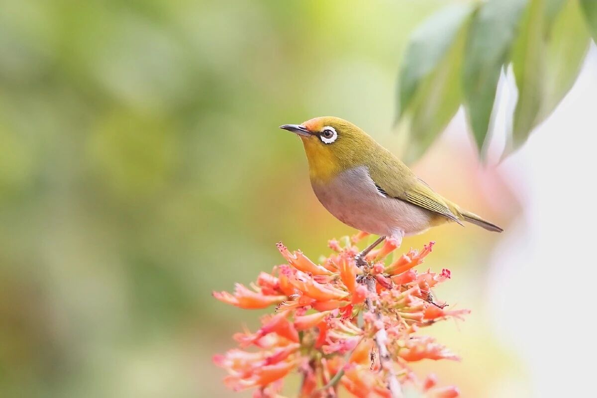 微信图片_2025-11-14_091521_447 微信图片_2025-11-14_091521_447